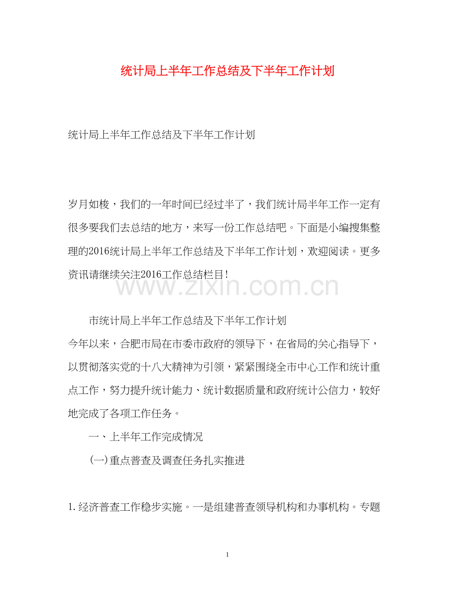 统计局上半年工作总结及下半年工作计划2.docx_第1页