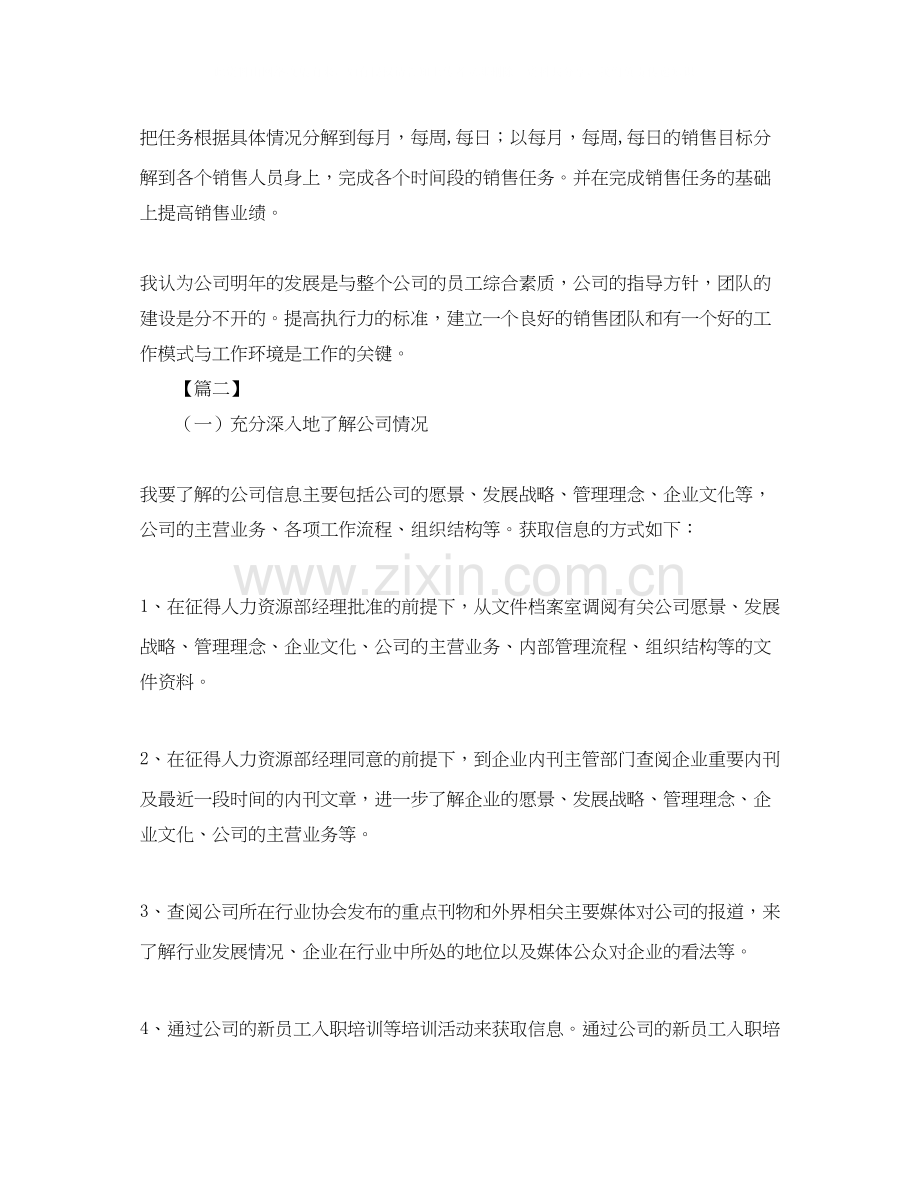 销售总监个人工作计划.docx_第2页