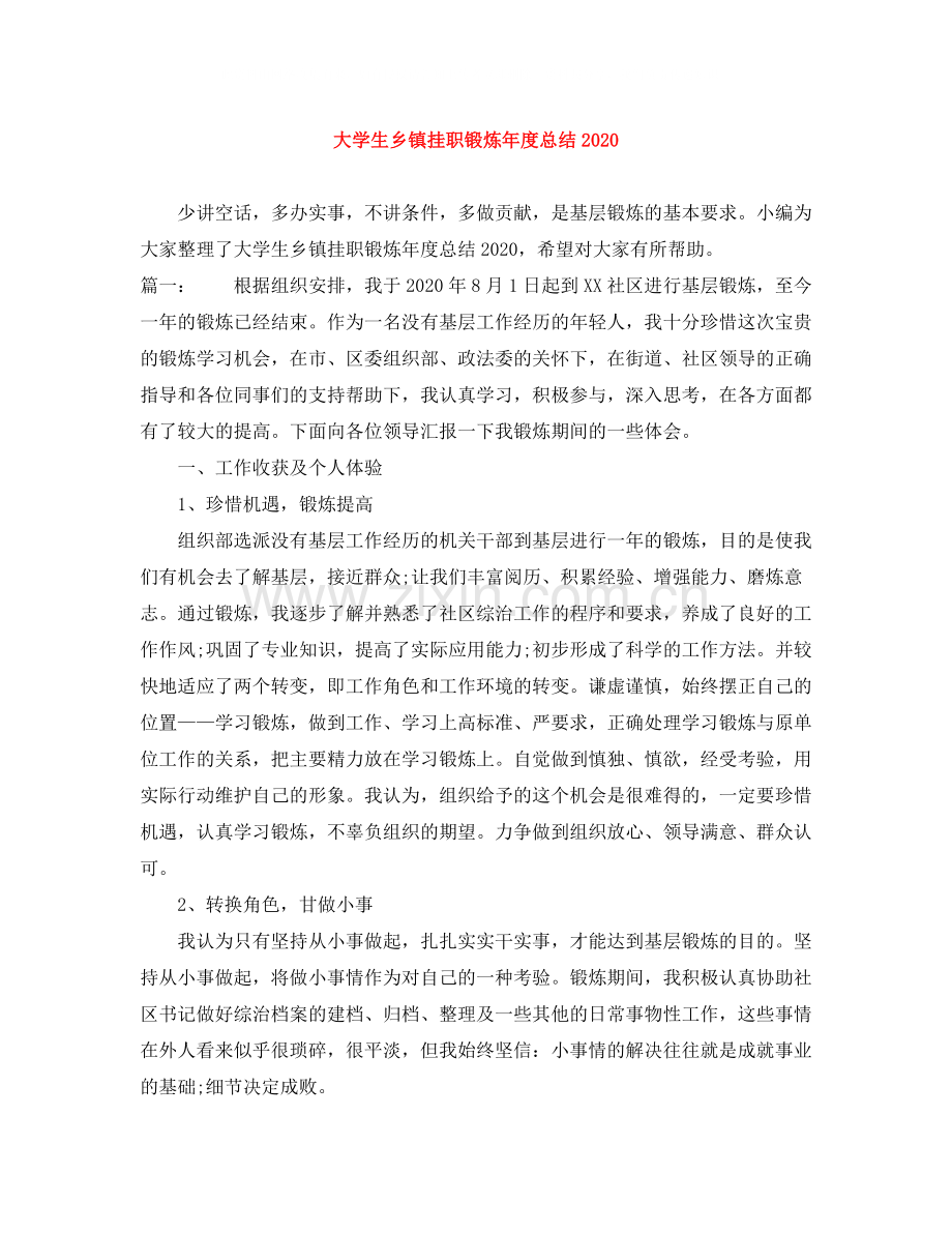 大学生乡镇挂职锻炼年度总结.docx_第1页