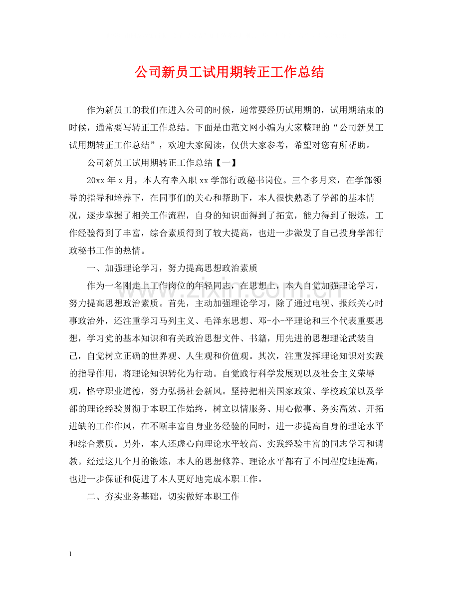 公司新员工试用期转正工作总结.docx_第1页