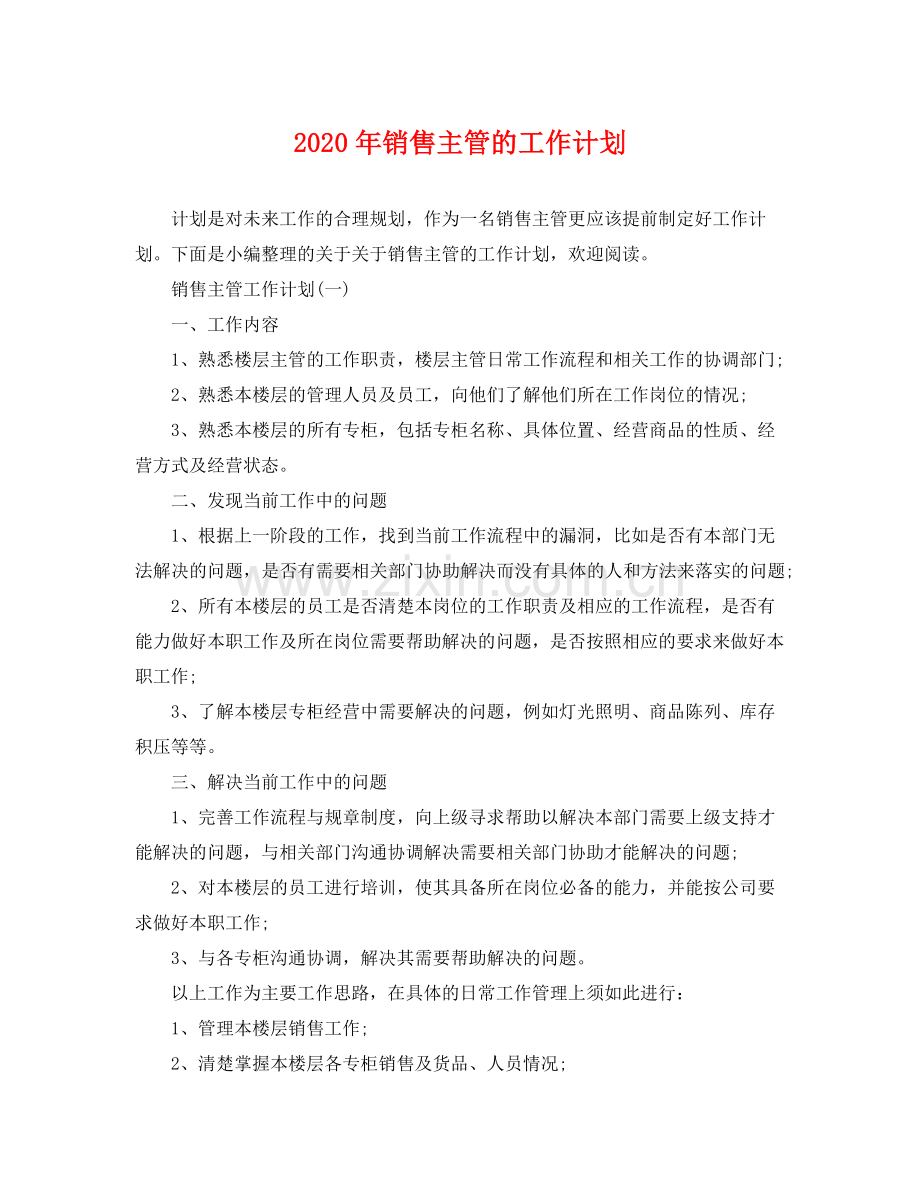 2020年销售主管的工作计划.docx_第1页