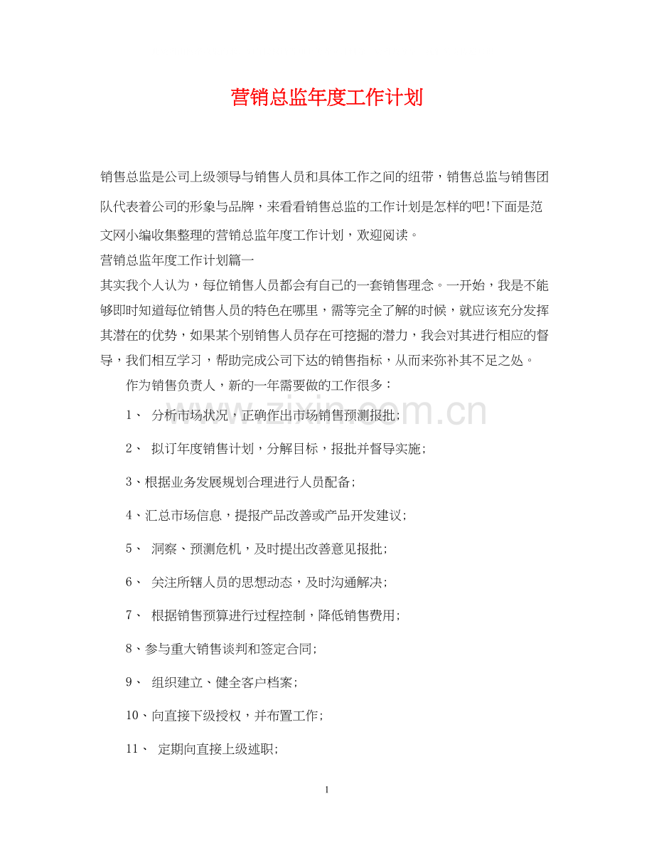 营销总监年度工作计划.docx_第1页