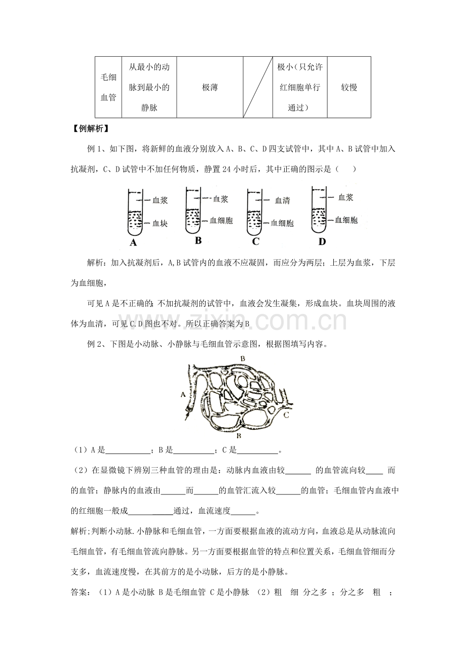 七年级生物下册 第四章人体内物质的运输教案 人教新课标版.doc_第2页