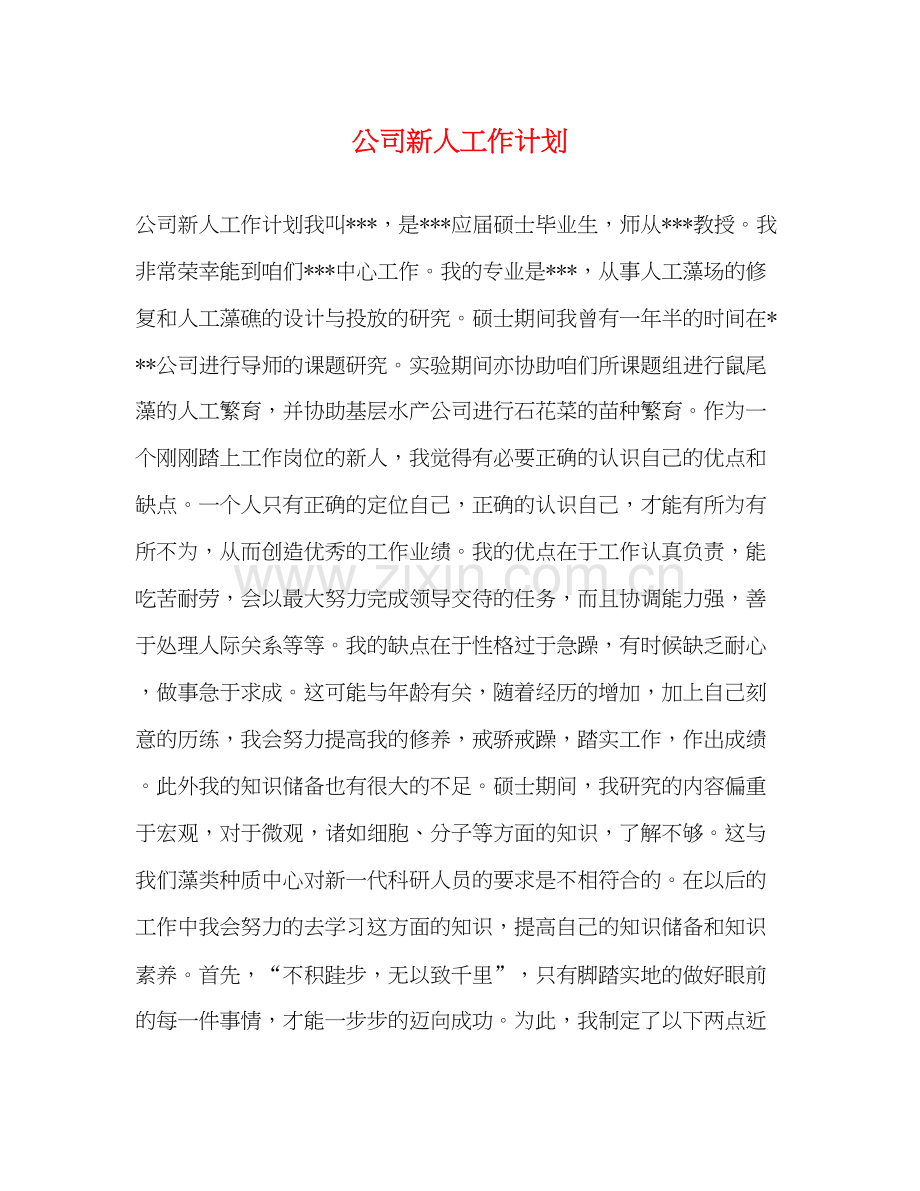 公司新人工作计划.docx_第1页