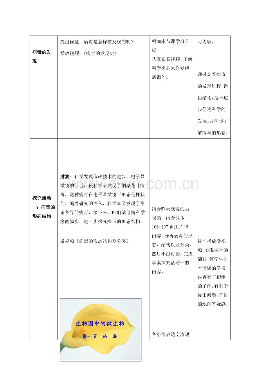 七年级生物上册 第二单元 第三章 第一节 病毒教学设计 济南版-济南版初中七年级上册生物教案.doc_第2页