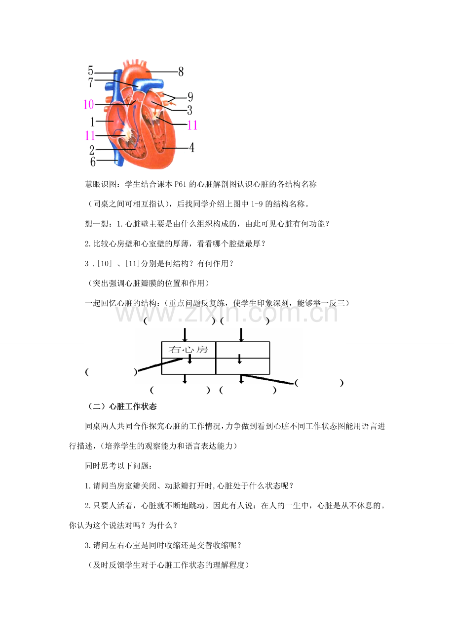 七年级生物下册 4.4.3 输送血液的泵 心脏教案 （新版）新人教版-（新版）新人教版初中七年级下册生物教案.doc_第2页