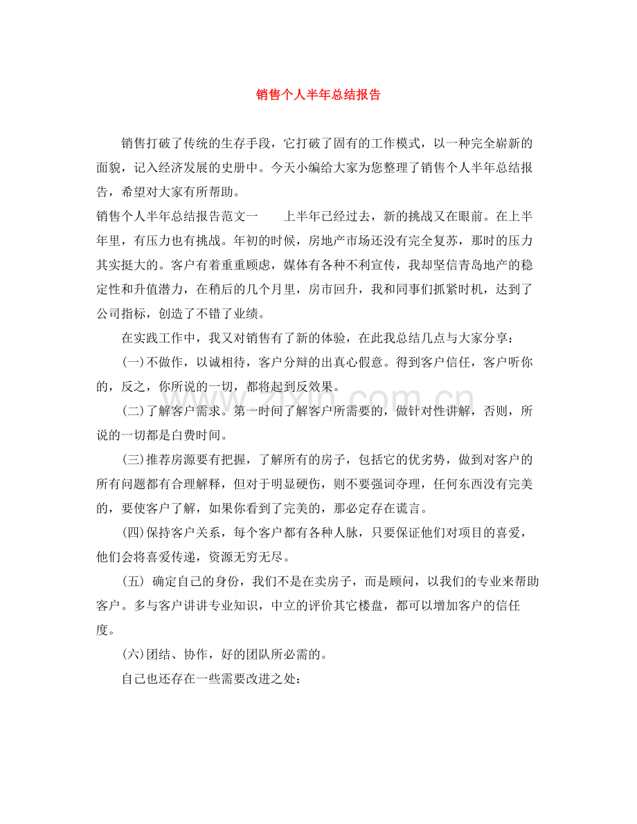 销售个人半年总结报告.docx_第1页