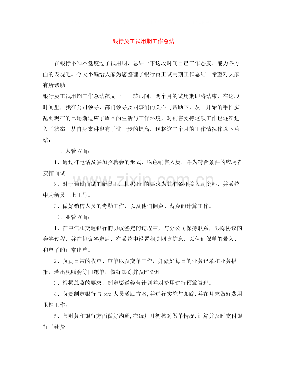 银行员工试用期工作总结.docx_第1页