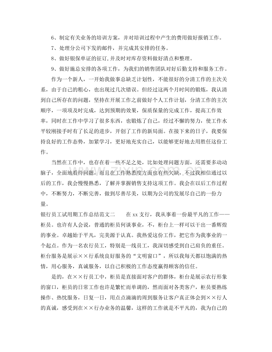 银行员工试用期工作总结.docx_第2页