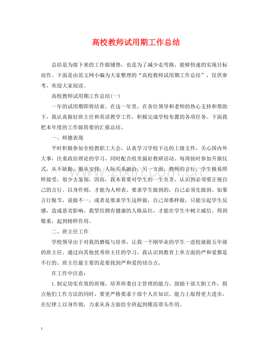 高校教师试用期工作总结.docx_第1页