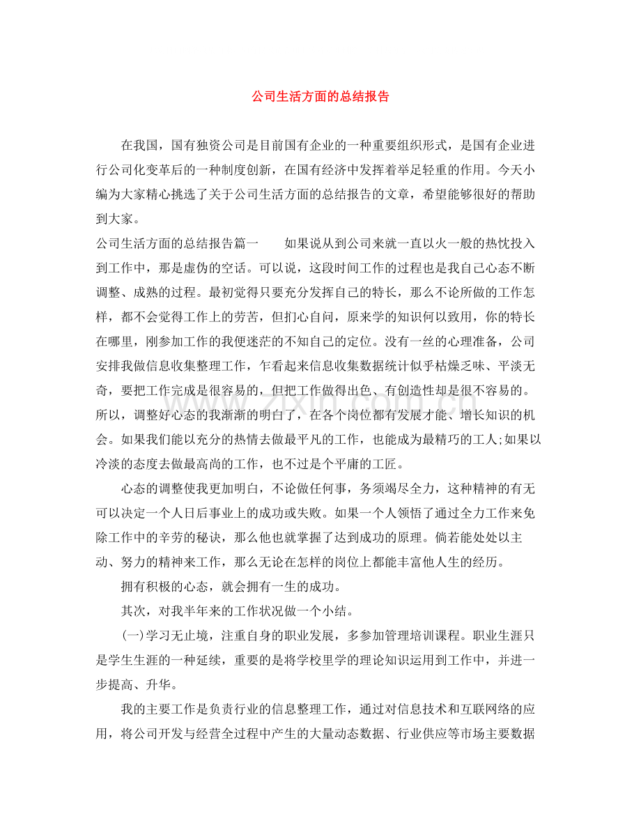 公司生活方面的总结报告.docx_第1页