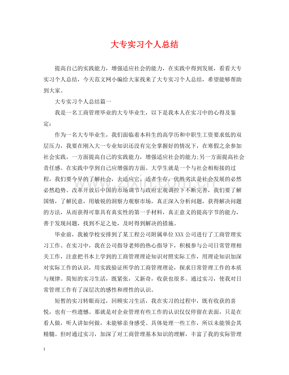 大专实习个人总结.docx_第1页