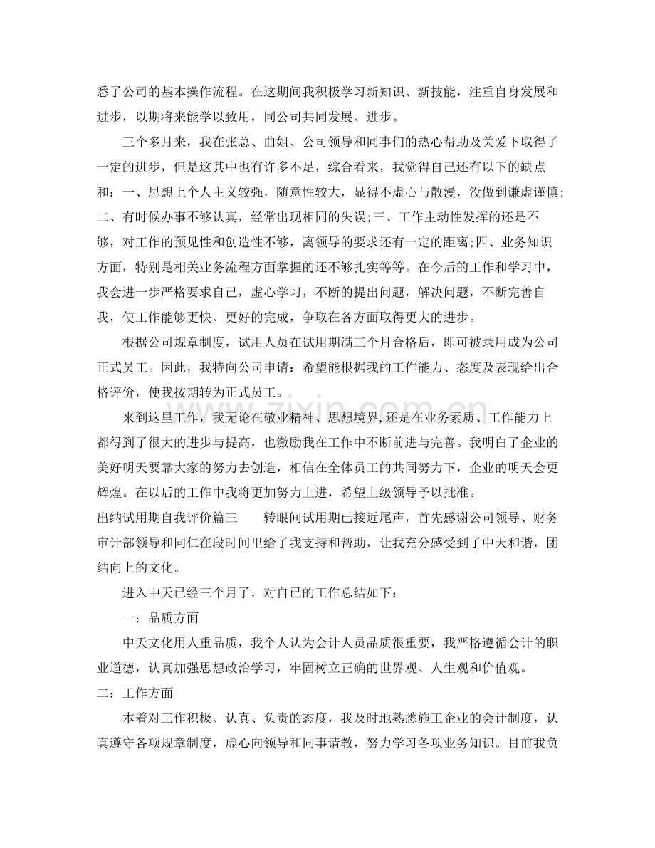 出纳试用期自我评价.docx_第3页