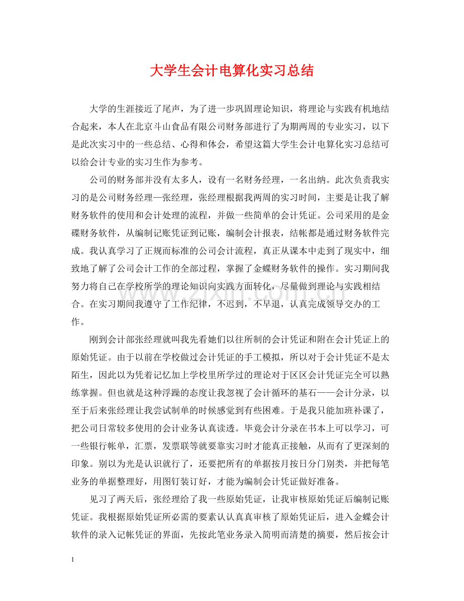 大学生会计电算化实习总结.docx_第1页