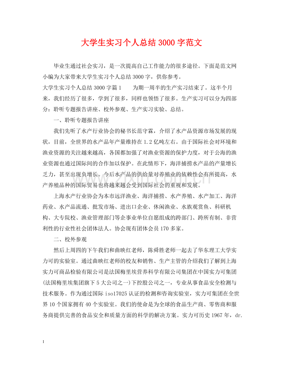 大学生实习个人总结3000字范文.docx_第1页