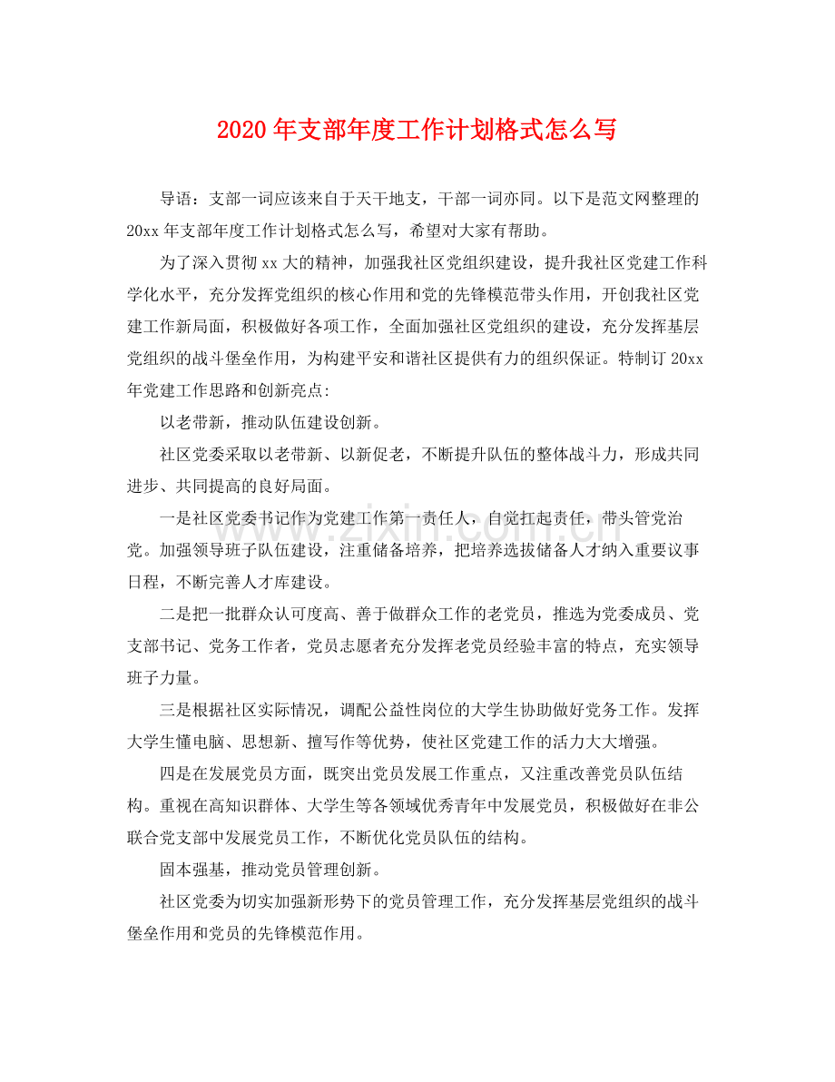 2020年支部年度工作计划格式怎么写 .docx_第1页