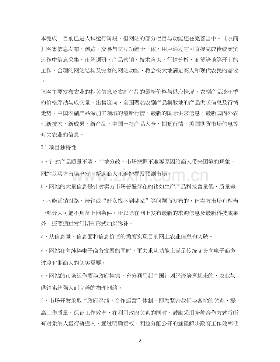 网站商业计划书.docx_第3页