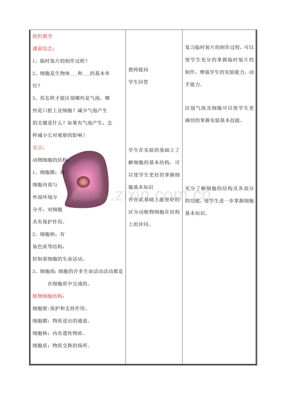 七年级生物上册 2.3.1细胞的基本结构和功能教案4 北师大版.doc_第2页