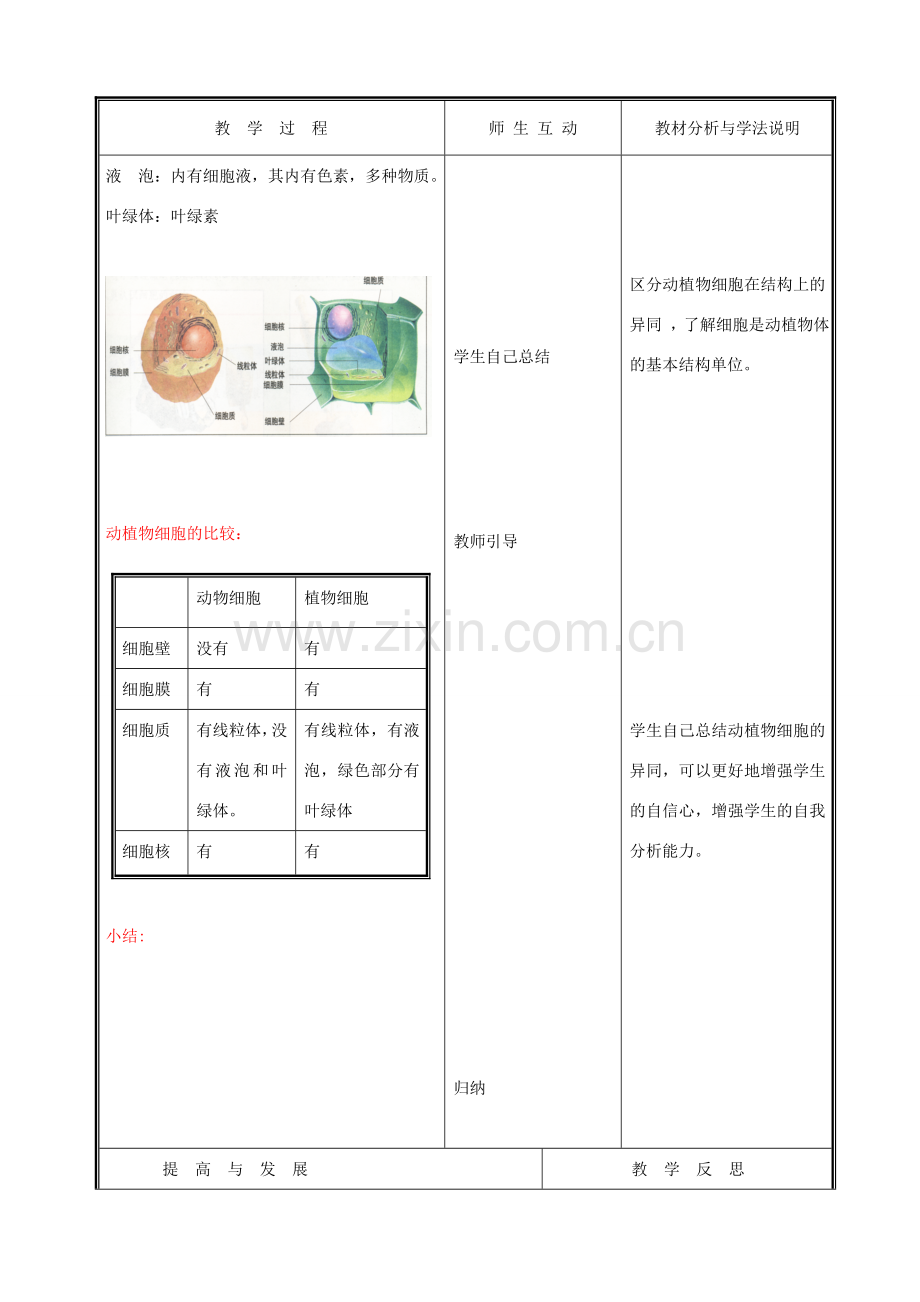 七年级生物上册 2.3.1细胞的基本结构和功能教案4 北师大版.doc_第3页