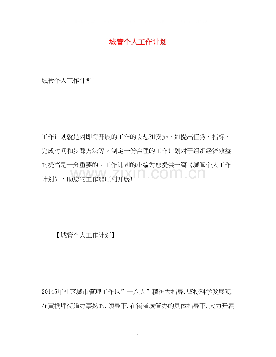 城管个人工作计划.docx_第1页