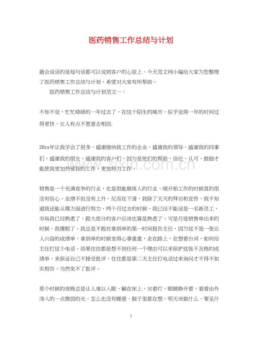 医药销售工作总结与计划.docx_第1页