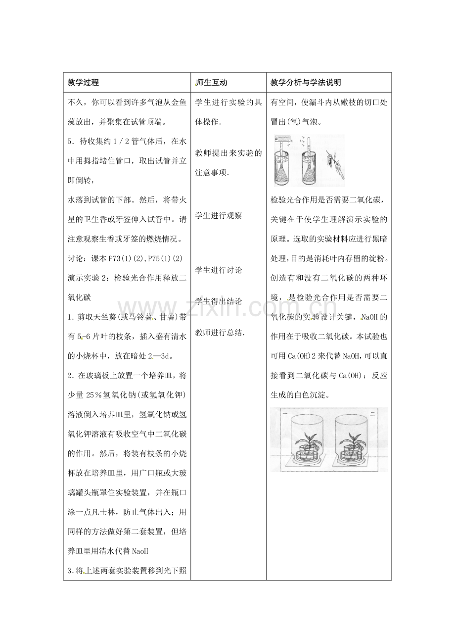 七年级生物上册 5.1 光合作用教案3 北师大版-北师大版初中七年级上册生物教案.doc_第3页