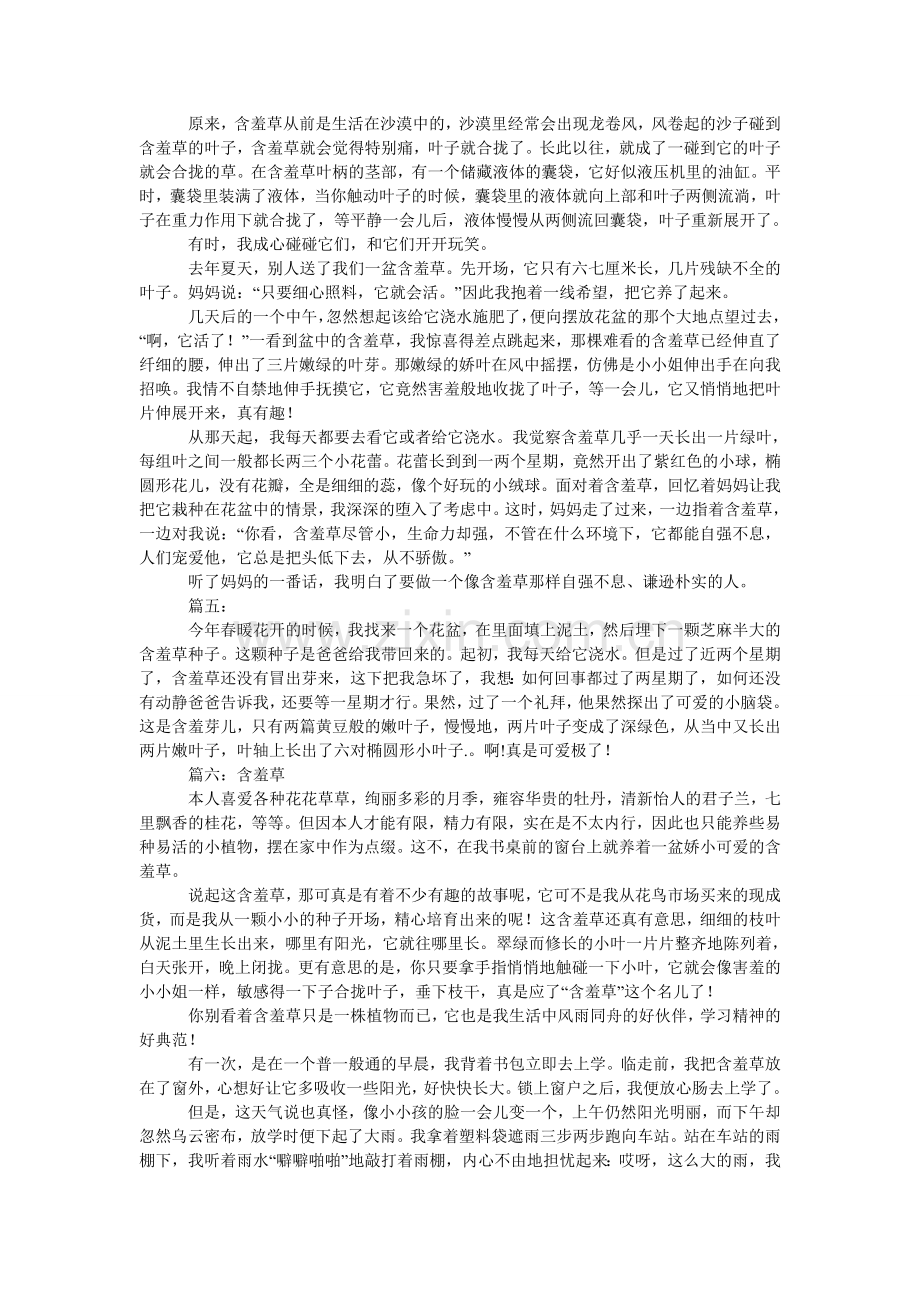 含羞草的观察日记450字.doc_第2页