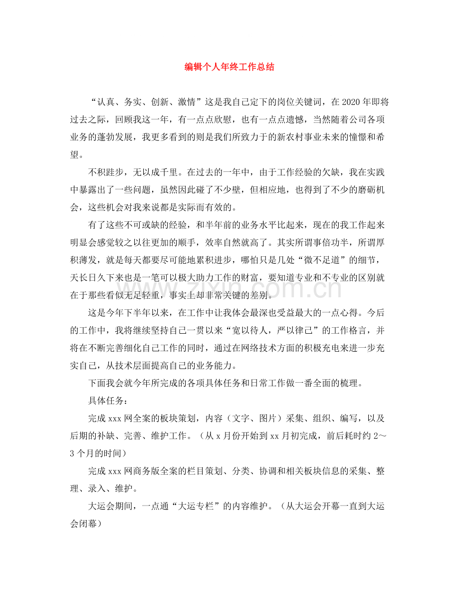 编辑个人年终工作总结.docx_第1页