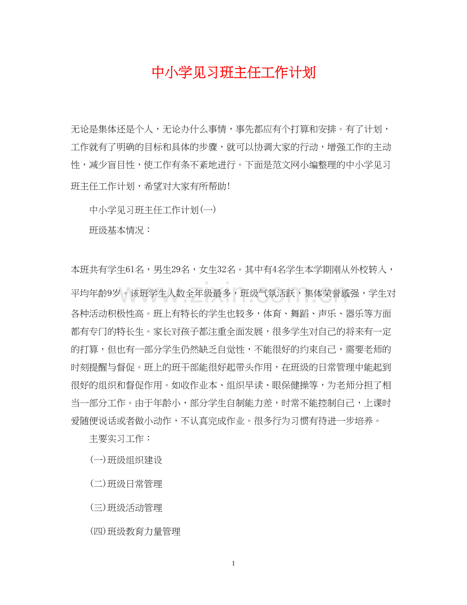 中小学见习班主任工作计划.docx_第1页