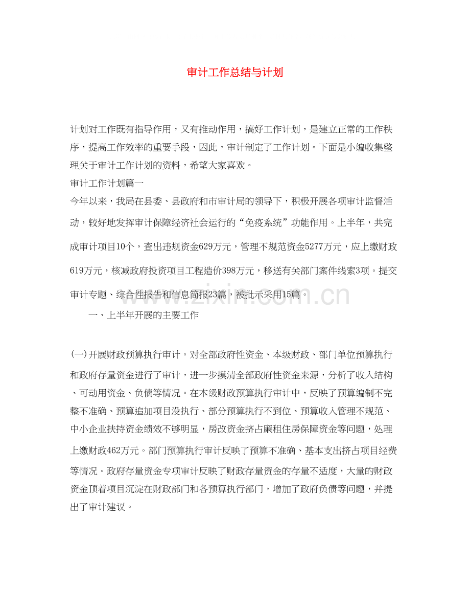 审计工作总结与计划.docx_第1页