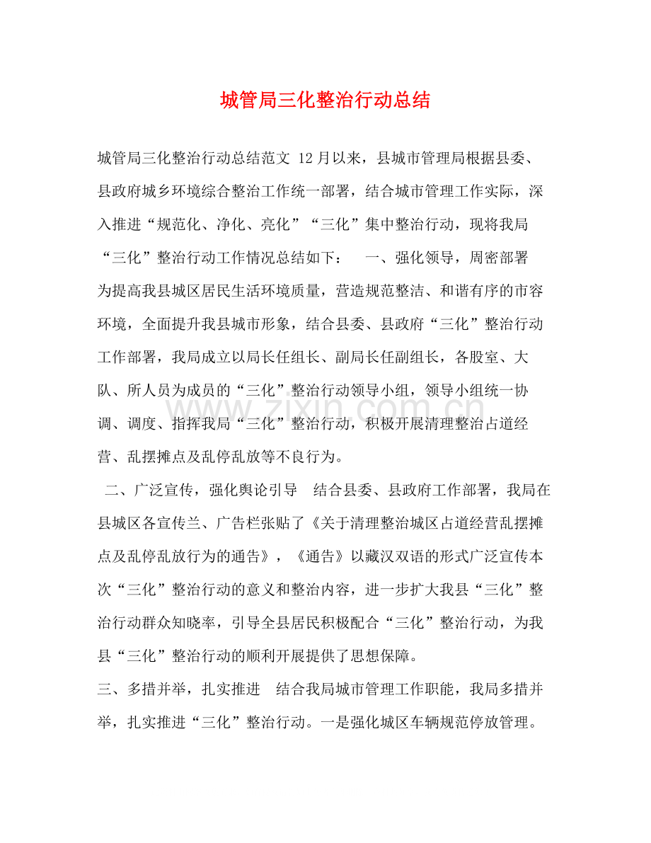 城管局三化整治行动总结.docx_第1页