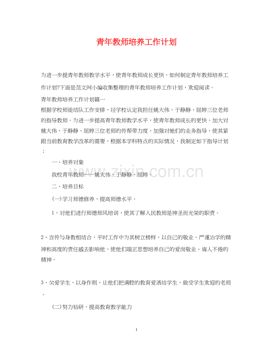 青年教师培养工作计划2.docx_第1页