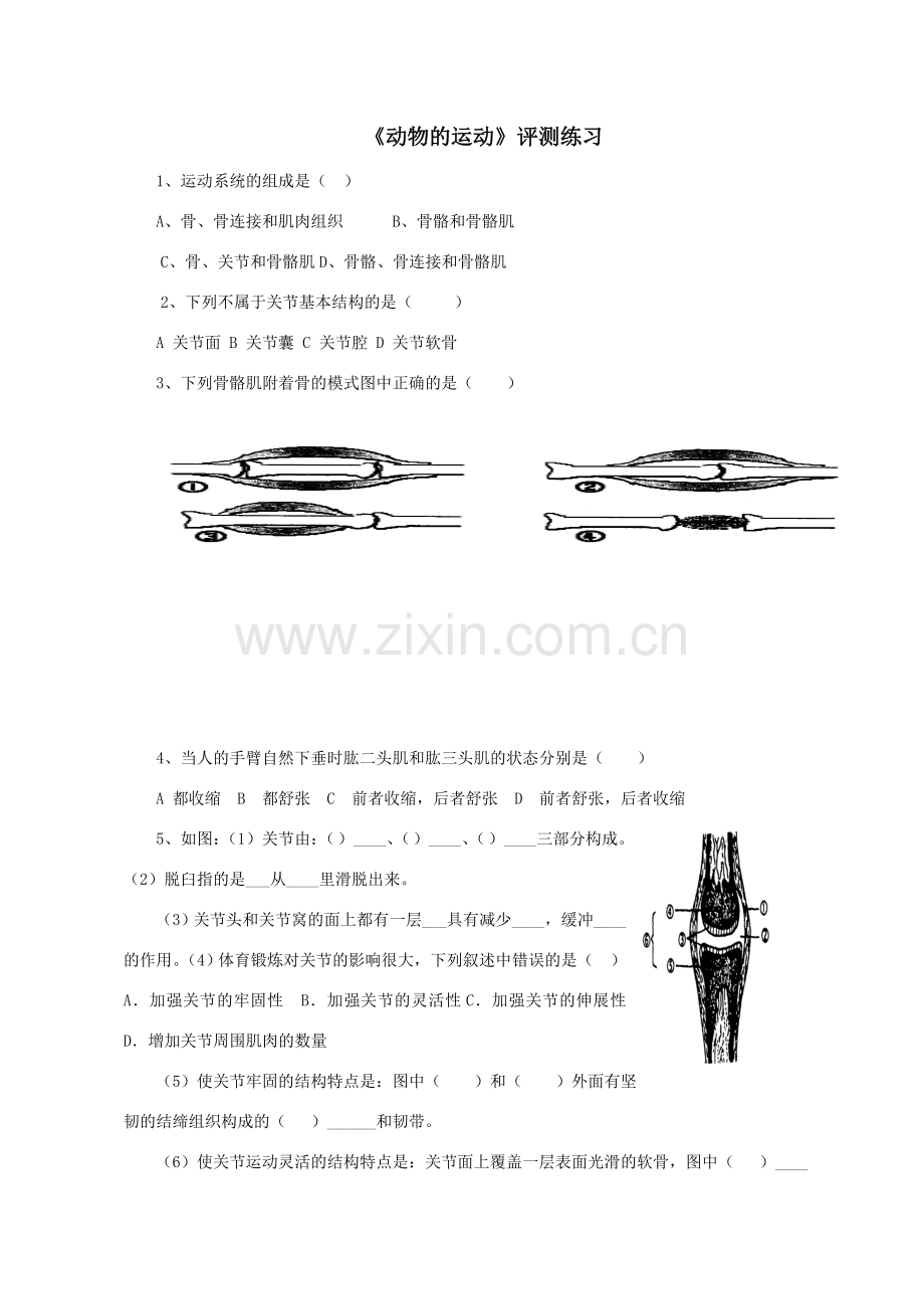 七年级生物上册 2.2.3 动物的运动练习（无答案）（新版）济南版.doc_第1页