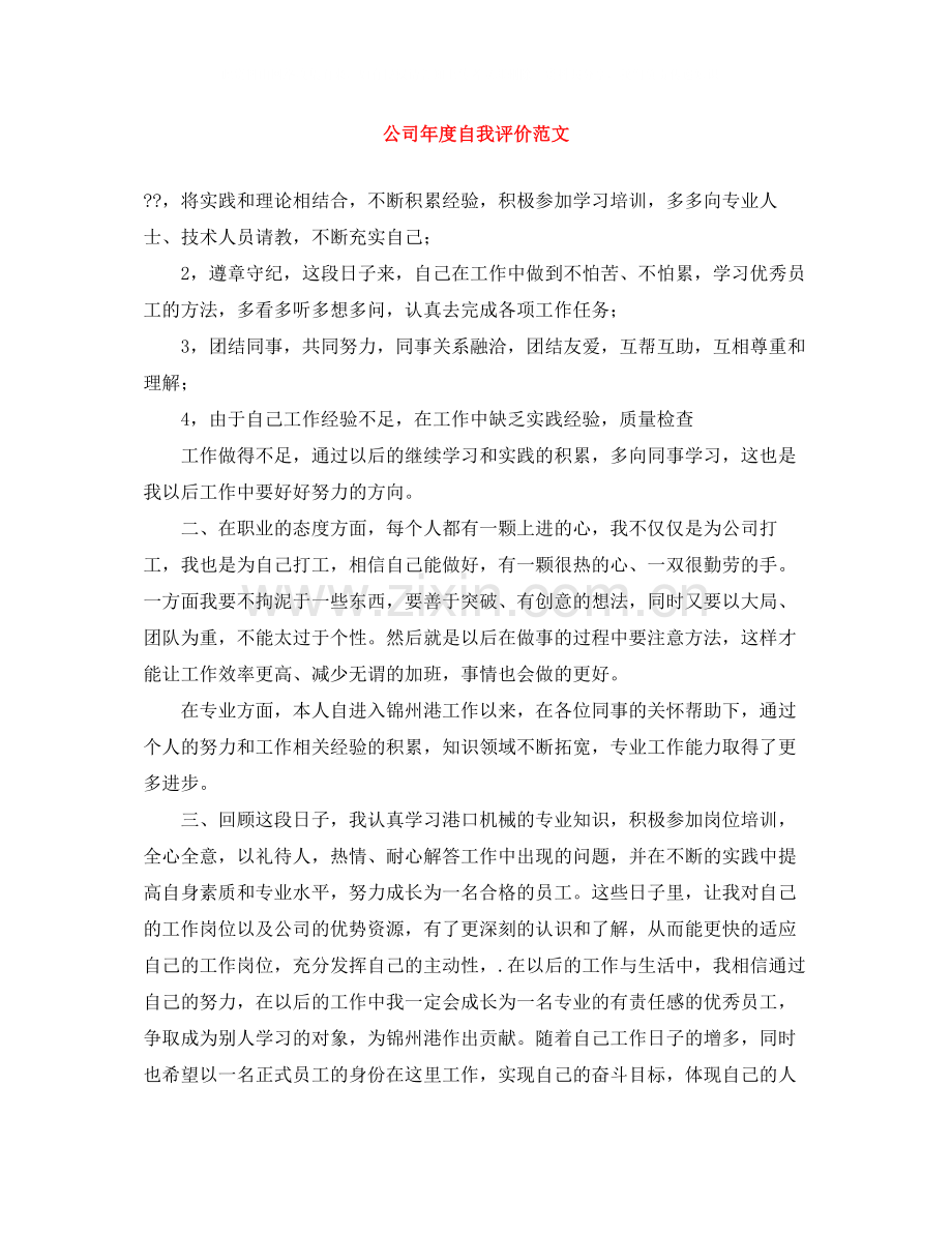 公司年度自我评价范文.docx_第1页