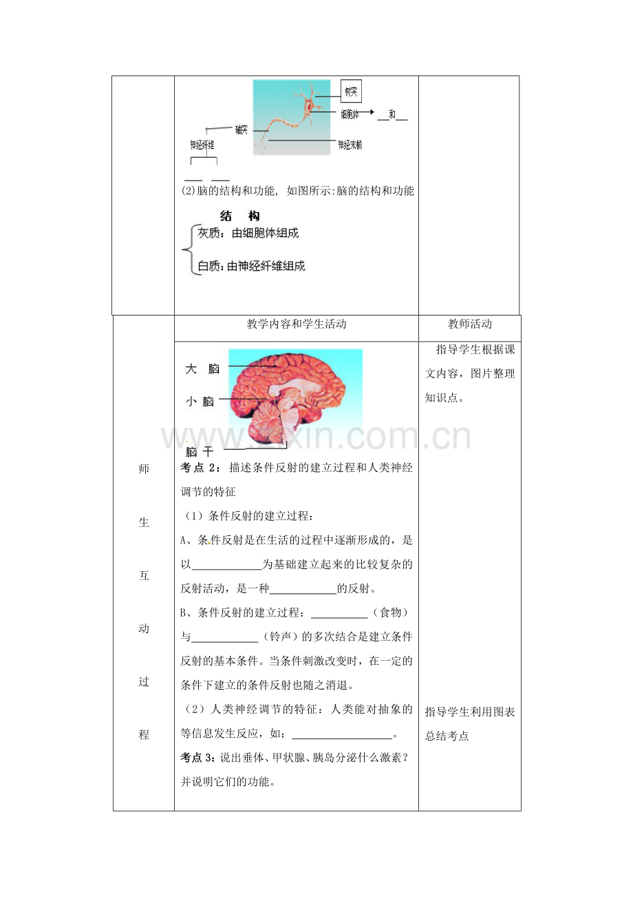 七年级生物下册 第三单元 第五章 人体生命活动的调节复习教案 （新版）济南版-（新版）济南版初中七年级下册生物教案.doc_第2页