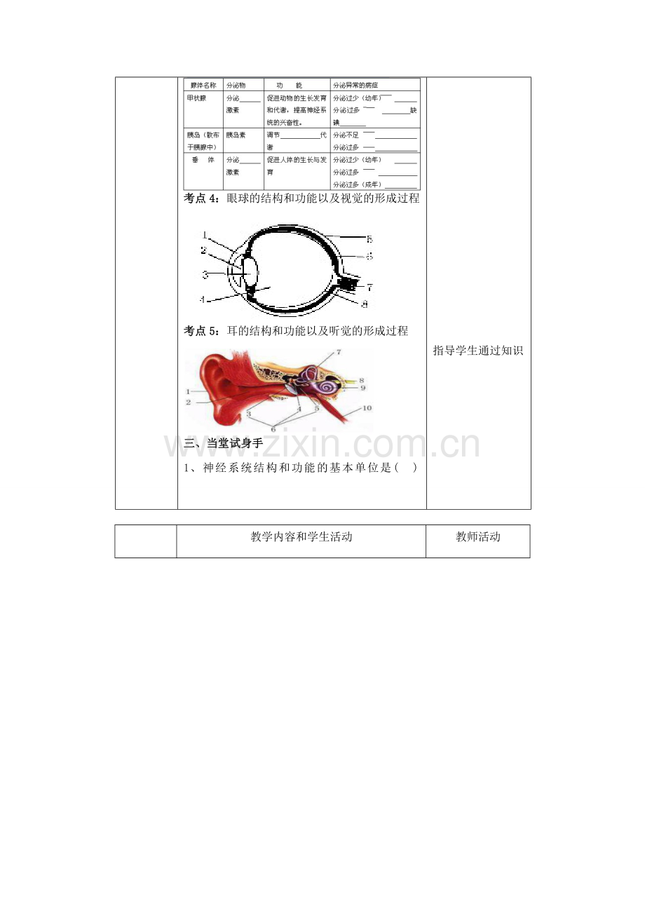 七年级生物下册 第三单元 第五章 人体生命活动的调节复习教案 （新版）济南版-（新版）济南版初中七年级下册生物教案.doc_第3页