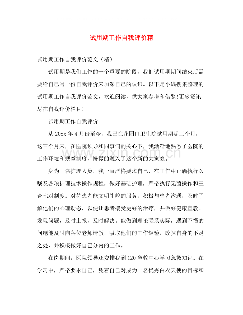 试用期工作自我评价精.docx_第1页