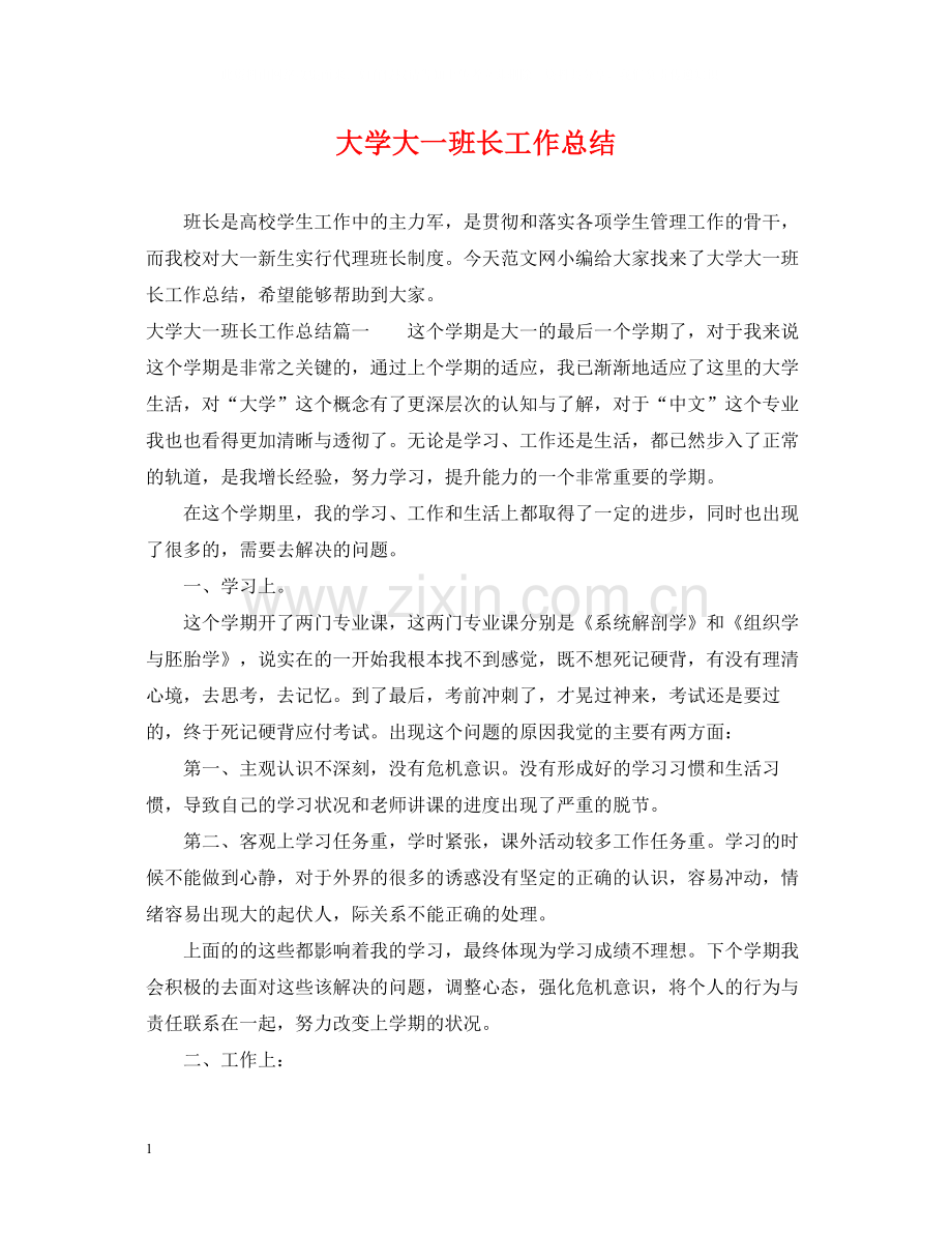 大学大一班长工作总结.docx_第1页