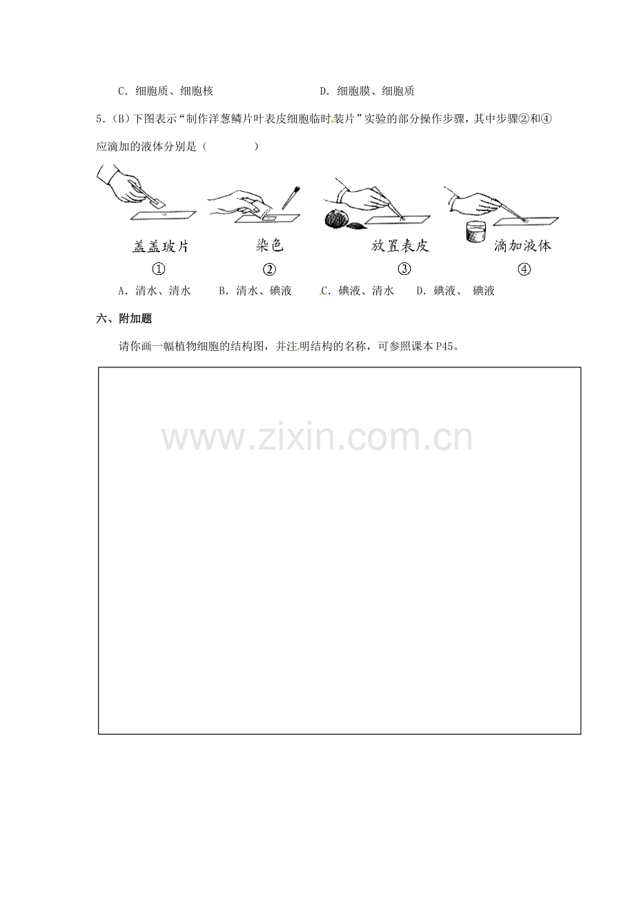 七年级生物上册 2.1.2 植物细胞导学案（无答案）（新版）新人教版.doc_第3页