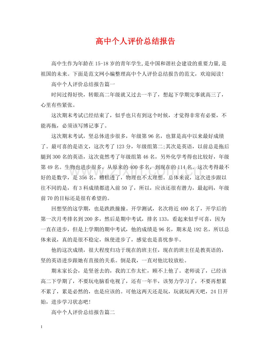 高中个人评价总结报告.docx_第1页