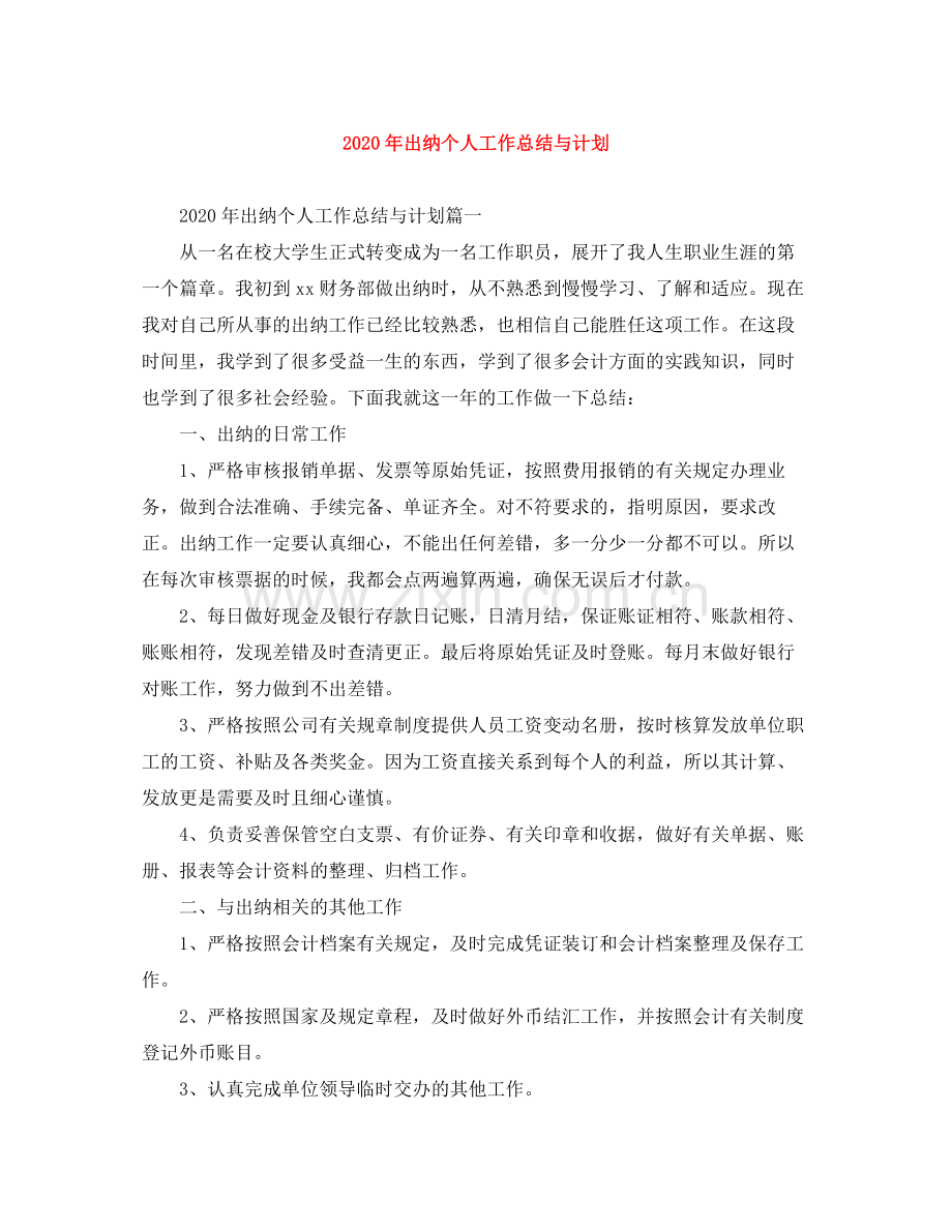 2020年出纳个人工作总结与计划.docx_第1页