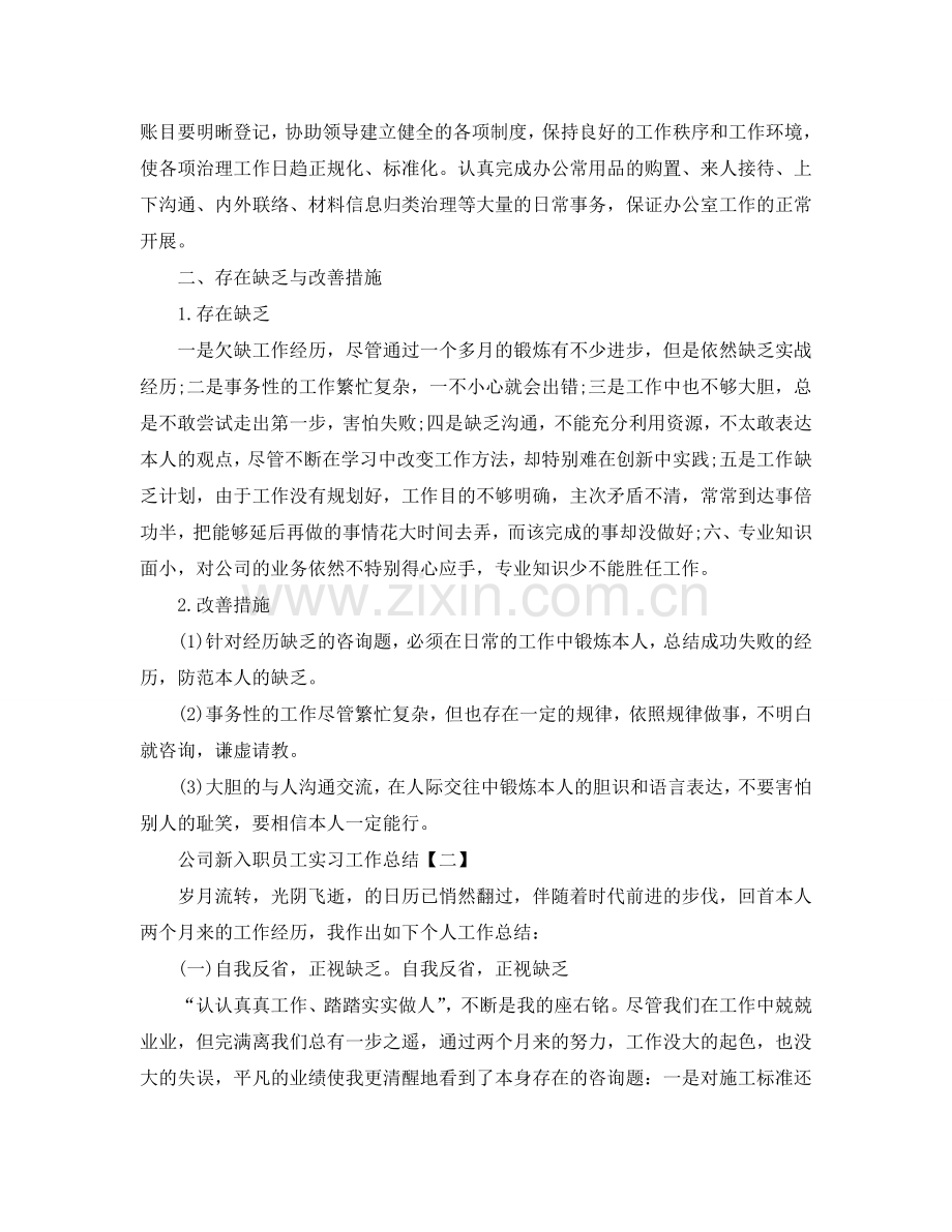 公司新入职员工实习工作参考总结【五篇】.doc_第2页