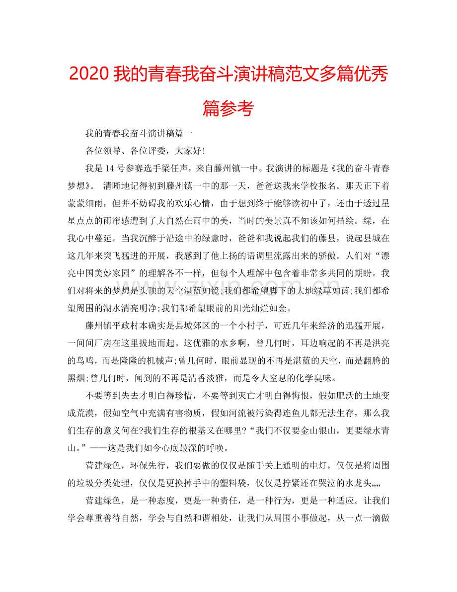 2024我的青春我奋斗演讲稿范文多篇优秀篇参考.doc_第1页