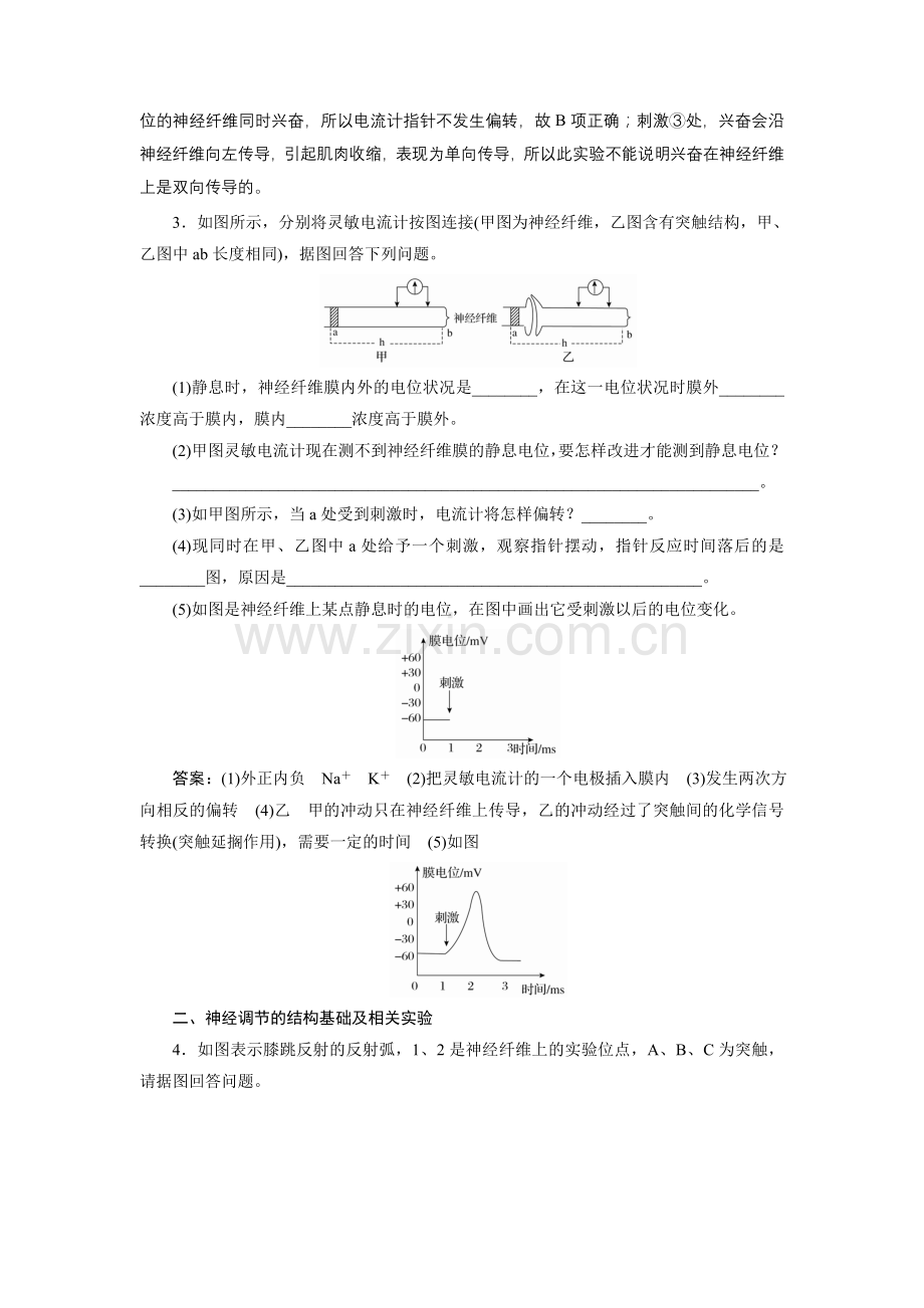 神经调节重点题型专项训练.doc_第2页