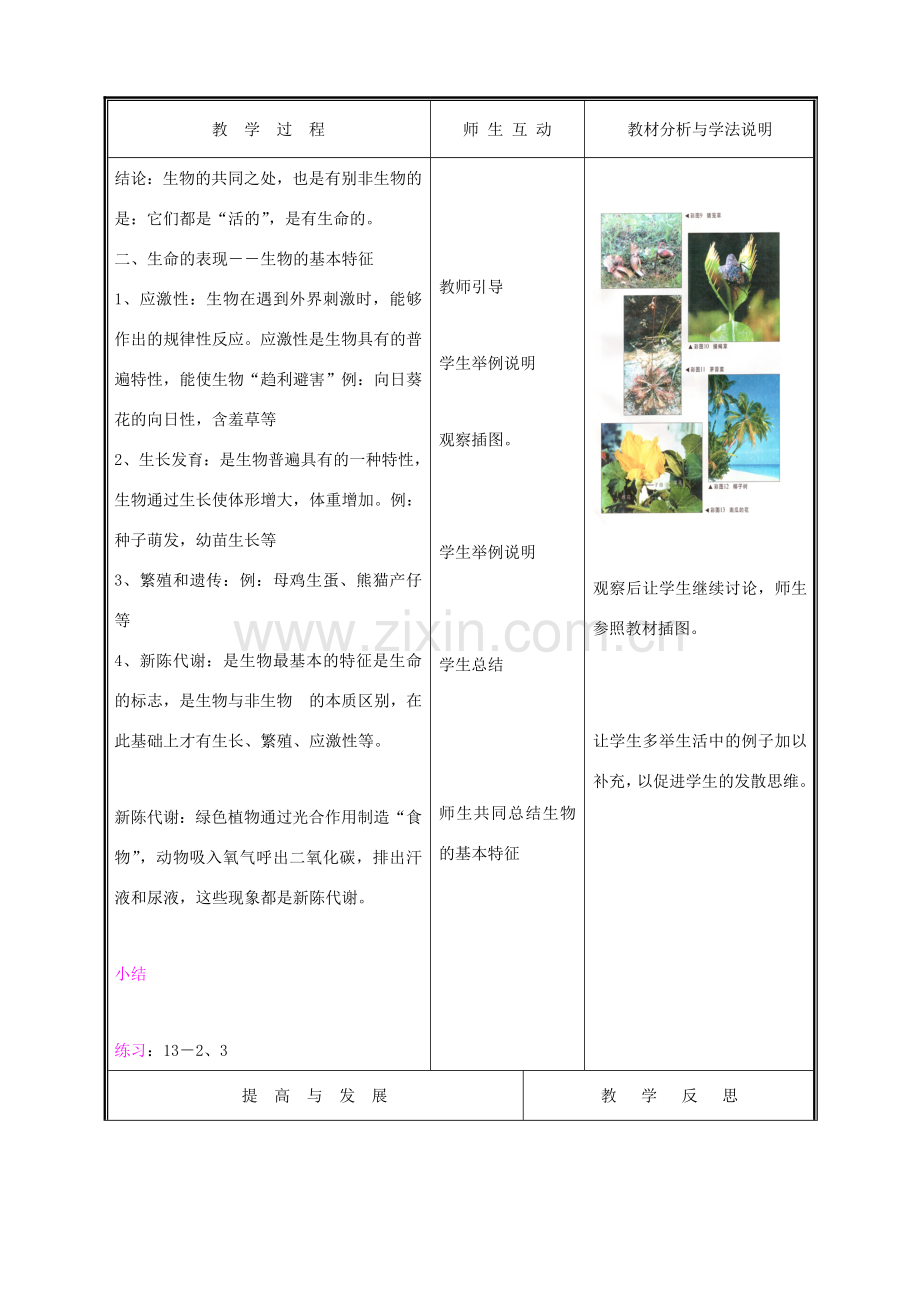 七年级生物上册 1.1.1形形色色的生物教案（二） 北师大版.doc_第3页