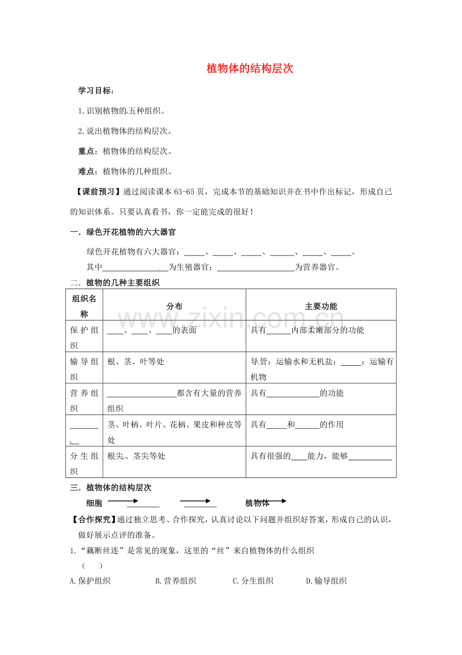 七年级生物上册 2.2.3 植物体的结构层次导学案（无答案）（新版）新人教版.doc_第1页