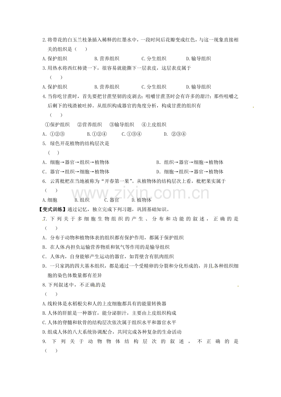 七年级生物上册 2.2.3 植物体的结构层次导学案（无答案）（新版）新人教版.doc_第2页