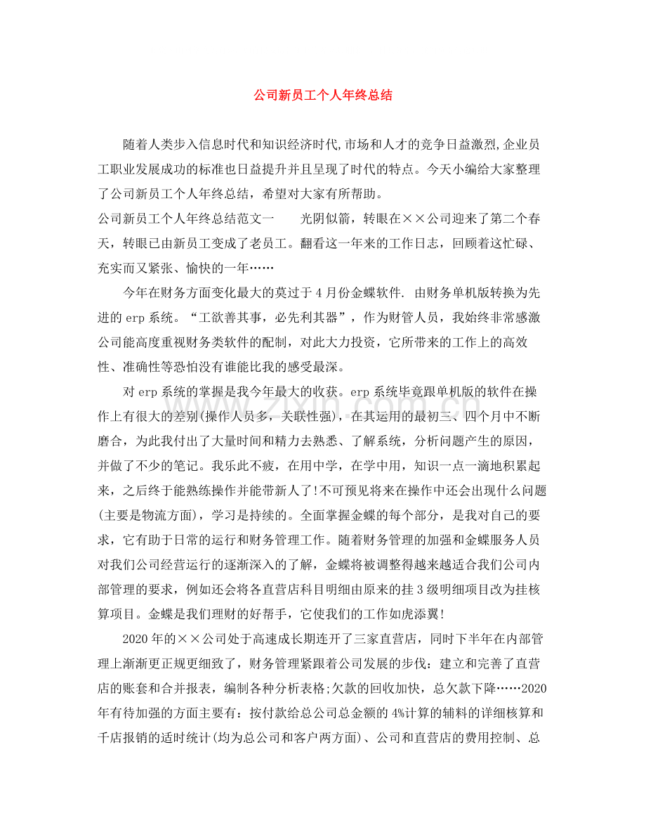 公司新员工个人年终总结.docx_第1页