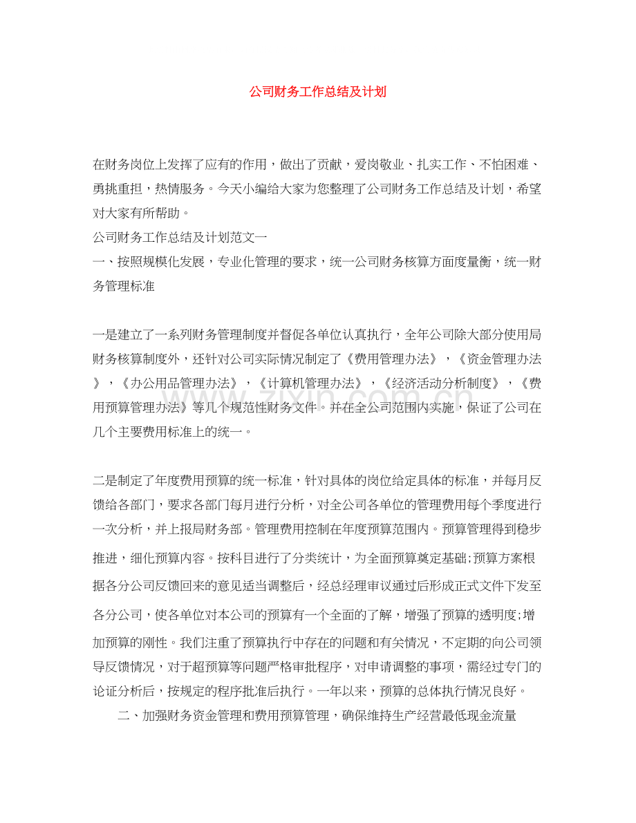 公司财务工作总结及计划.docx_第1页