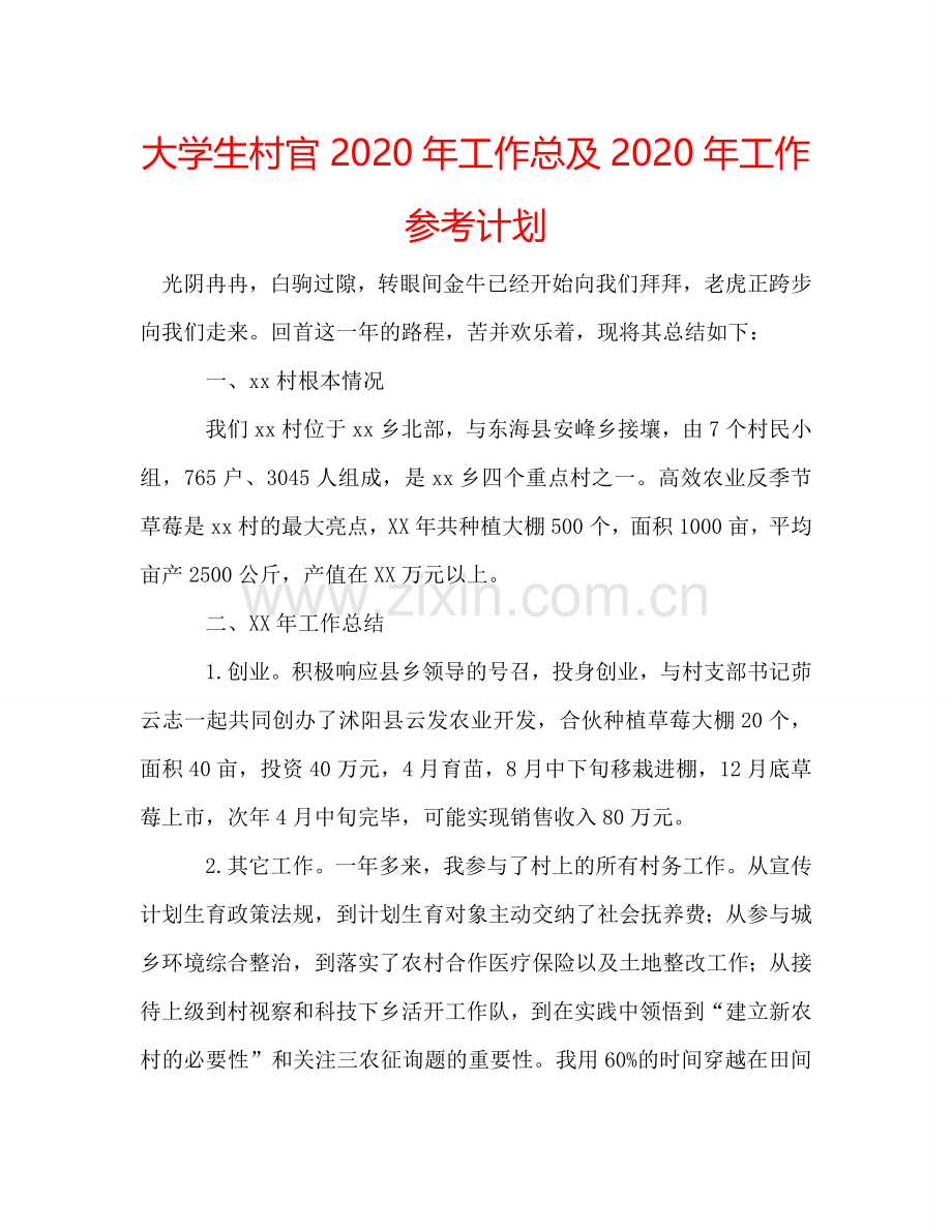 大学生村官2024年工作总及2024年工作参考计划.doc_第1页